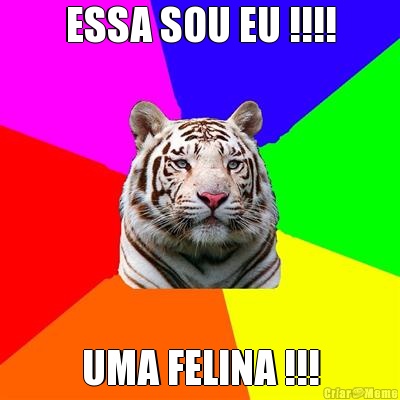 ESSA SOU EU !!!! UMA FELINA !!!