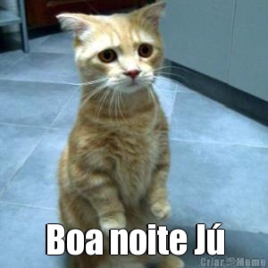  Boa noite J�