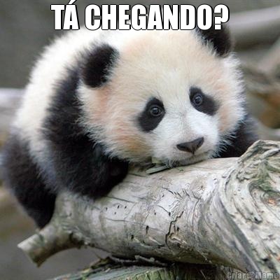 T� CHEGANDO? 