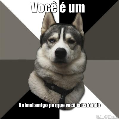 Voc� � um  Animal amigo porque voc� ta babando