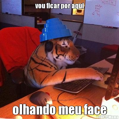 vou ficar por aqui olhando meu face