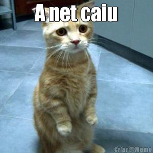 A net caiu 