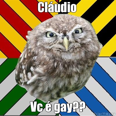 Cl�udio  Vc � gay??