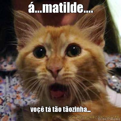 �...matilde.... vo�� t� t�o t�ozinha....