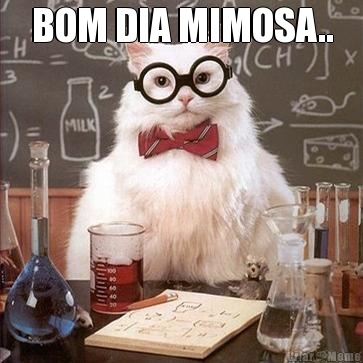BOM DIA MIMOSA.. 