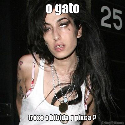 o gato tr�xe a bibida q pixca ?