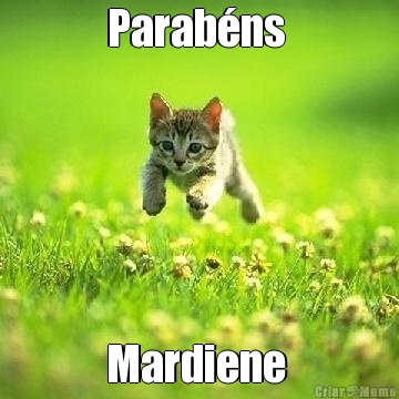 Parab�ns  Mardiene 