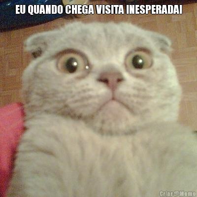 EU QUANDO CHEGA VISITA INESPERADA! 
