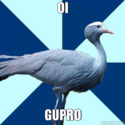 OI GUPRO