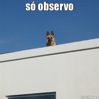s� observo 