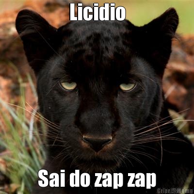 Licidio Sai do zap zap