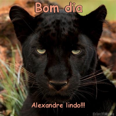 Bom dia Alexandre lindo!!!