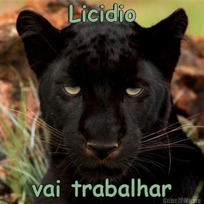 Licidio vai trabalhar