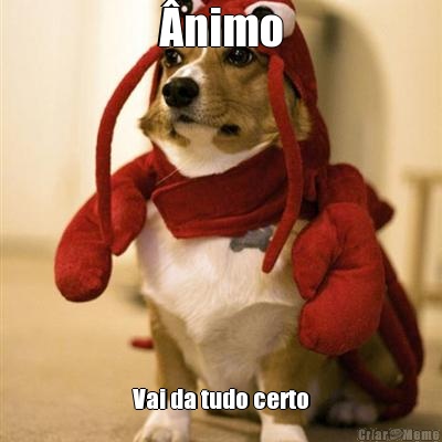 �nimo Vai da tudo certo