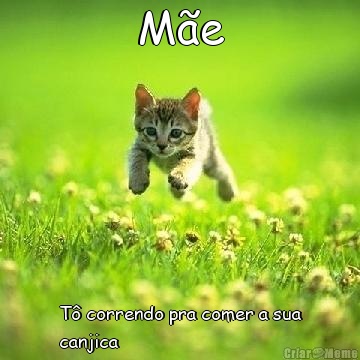 M�e T� correndo pra comer a sua
canjica 