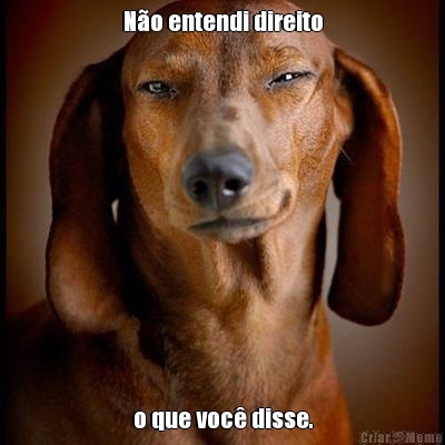 N�o entendi direito o que voc� disse.