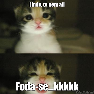 Lindo, to nem a�! Foda-se...kkkkk
