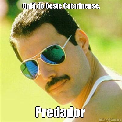 Gal� do Oeste Catarinense. Predador 
