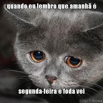 quando eu lembro que amanh� � segunda-feira � foda vei