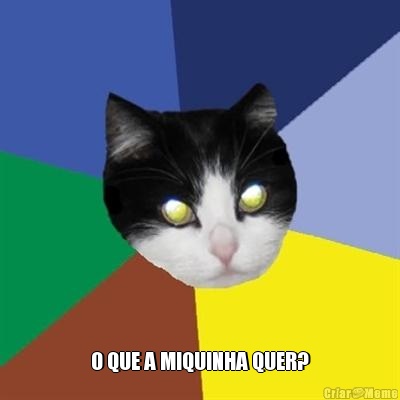  O QUE A MIQUINHA QUER?