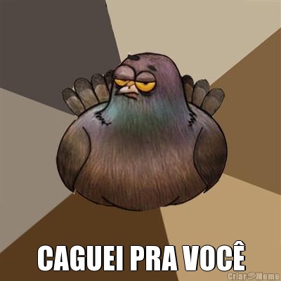  CAGUEI PRA VOC�