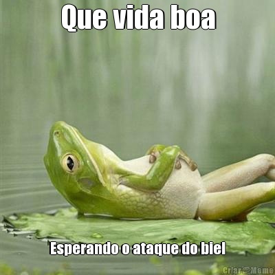 Que vida boa Esperando o ataque do biel