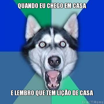QUANDO EU CHEGO EM CASA E LEMBRO QUE TEM LI��O DE CASA
