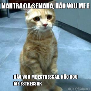 MANTRA DA SEMANA, N�O VOU ME E N�O VOU ME ESTRESSAR, N�O VOU
ME ESTRESSAR