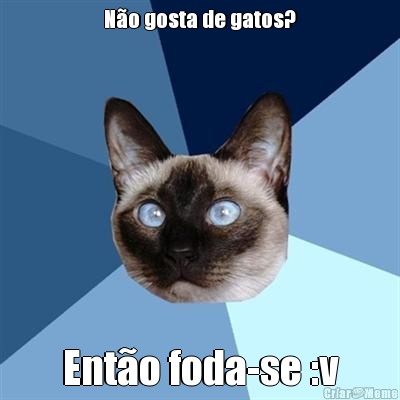 N�o gosta de gatos? Ent�o foda-se :v