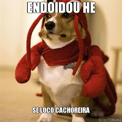 ENDOIDOU HE SE LOCO CACHOREIRA