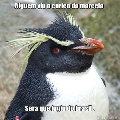 Alguem viu a curica da marcela  Sera que fugiu do brasil . 