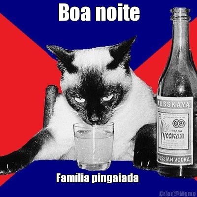 Boa noite Fam�lia pingaiada 