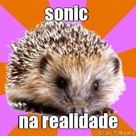 sonic  na realidade