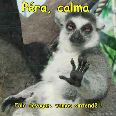 P�ra, calma  Fala devagar, vamos sintend� !