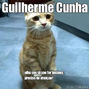Guilherme Cunha olha seu skype for busines,
preciso de aten�ao!
