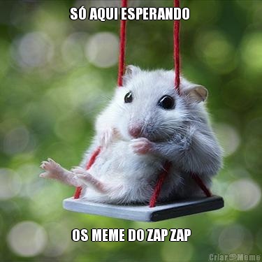 S� AQUI ESPERANDO  OS MEME DO ZAP ZAP
