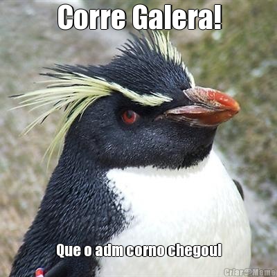 Corre Galera! Que o adm corno chegou!