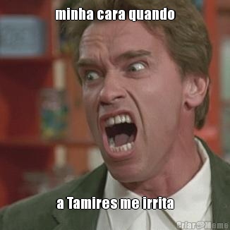 minha cara quando a Tamires me irrita