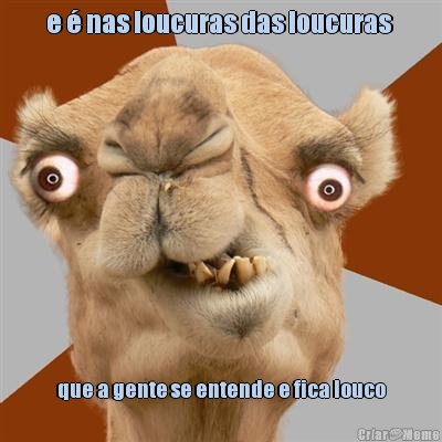e � nas loucuras das loucuras  que a gente se entende e fica louco