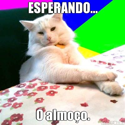 ESPERANDO... O almo�o.