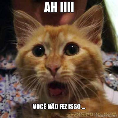 AH !!!! VOC� N�O FEZ ISSO ....