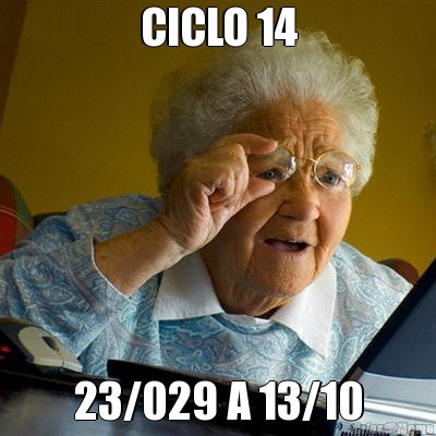 CICLO 14 23/029 A 13/10