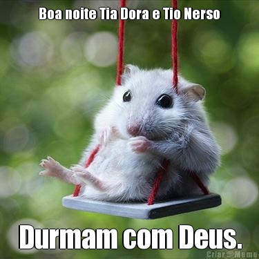 Boa noite Tia Dora e Tio Nerso Durmam com Deus.