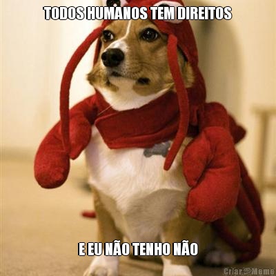 TODOS HUMANOS TEM DIREITOS E EU N�O TENHO N�O