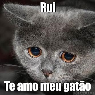 Rui Te amo meu gat�o