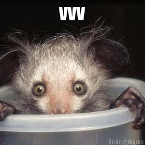 vvv 