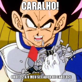 CARALHO!  ONDE EST� O MEU SECADOR DE CABELO?!