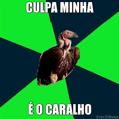 CULPA MINHA � O CARALHO