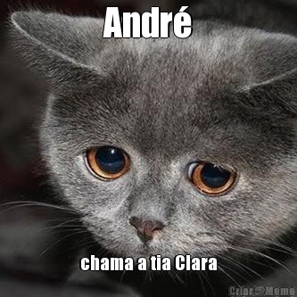 Andr� chama a tia Clara