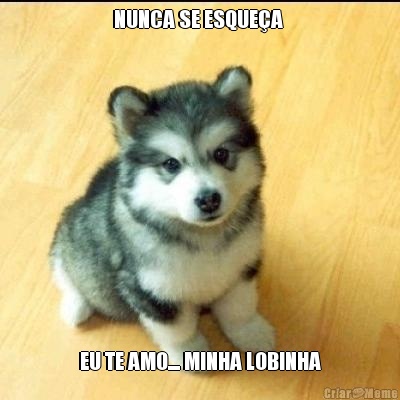 NUNCA SE ESQUE�A  EU TE AMO.... MINHA LOBINHA